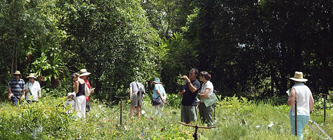 2009 Field Day