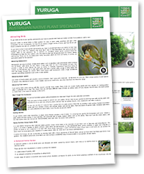 Information Sheets Information Sheets