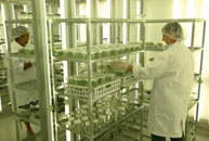i-labinside