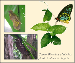 picture-42 picture-42