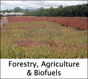 Forestry & Agriculture