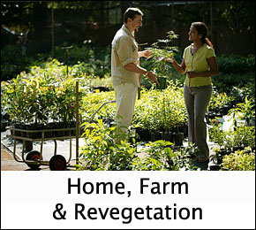 Home & Garden